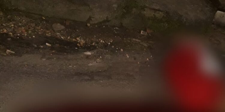 O crime ocorreu por volta das 2h desta quarta-feira (4). Foto: Divulgação