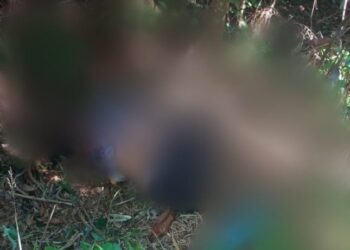 O corpo foi encontrado numa área de mata de difícil acesso. Foto: Reprodução