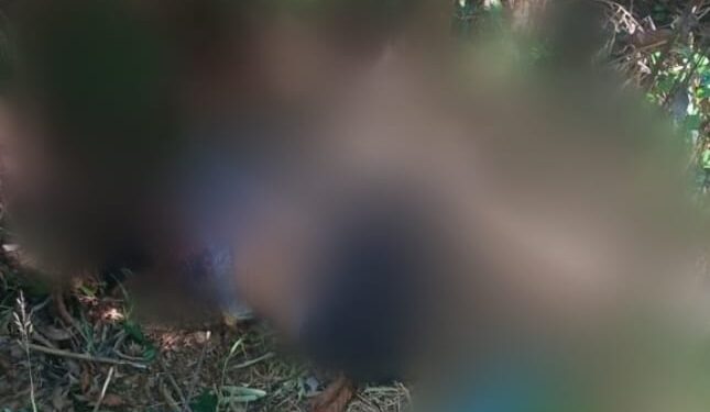 O corpo foi encontrado numa área de mata de difícil acesso. Foto: Reprodução