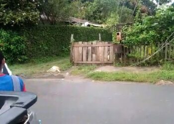 O acidente aconteceu após a forte chuva desta segunda-feira (23). Foto: Divulgação