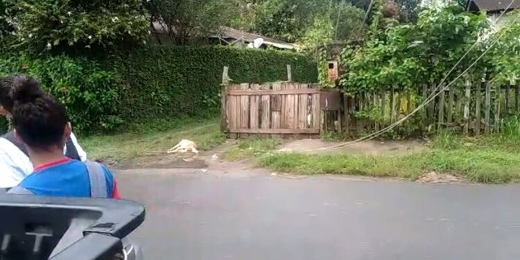 O acidente aconteceu após a forte chuva desta segunda-feira (23). Foto: Divulgação