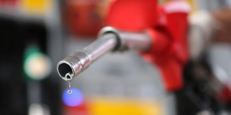 O evento está em sua 11ª edição. Foto: Reprodução/Internet