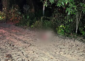 O corpo foi encontrado na noite desta segunda-feira (16). Foto: Divulgação