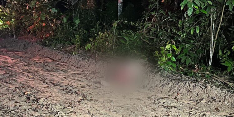 O corpo foi encontrado na noite desta segunda-feira (16). Foto: Divulgação