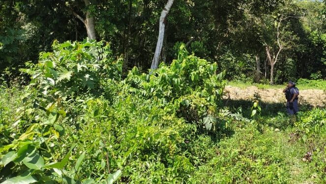 Populares que passavam pelo local encontraram o corpo. Foto: Reprodução