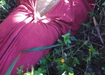 O corpo foi encontrado na manhã desta segunda-feira (23). Foto: Reprodução