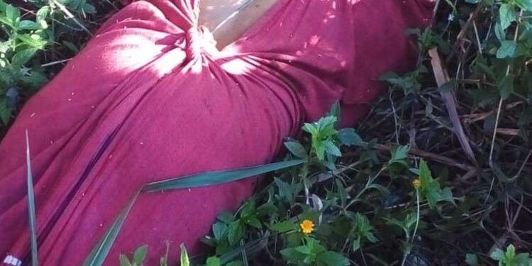 O corpo foi encontrado na manhã desta segunda-feira (23). Foto: Reprodução