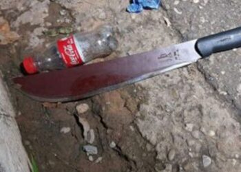 O homem usou um facão e agrediu a ex-mulher. Foto: Reprodução