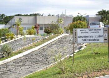 O crime aconteceu na tarde deste domingo (15) enquanto menino estava no pátio. Foto: Divulgação