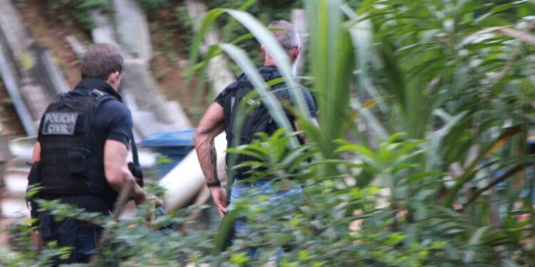 O crime aconteceu no início desse ano e o homem sumiu em seguida. Foto: Reprodução