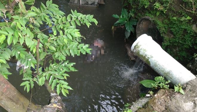 O corpo foi visto por uma moradora que estava indo à padaria. Foto: Reprodução