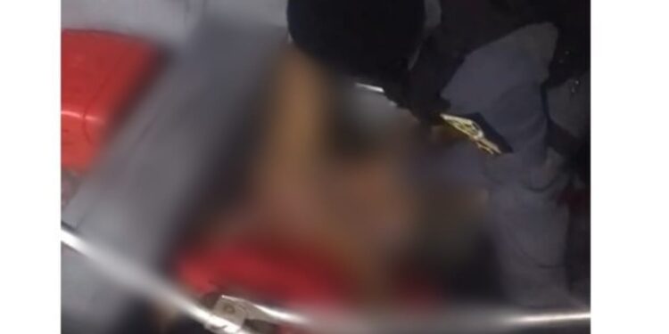 O parto aconteceu na madrugada. Foto: Reprodução