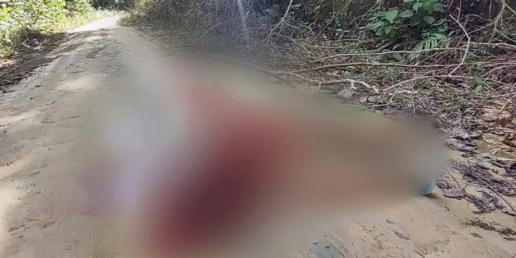 O crime aconteceu na tarde desta quinta-feira (16). Foto: Reprodução