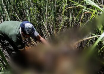 O crime aconteceu em área de mata. Foto: Reprodução/Internet