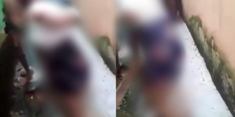 Não há informações da onde ocorreu a agressão. Foto: Reprodução