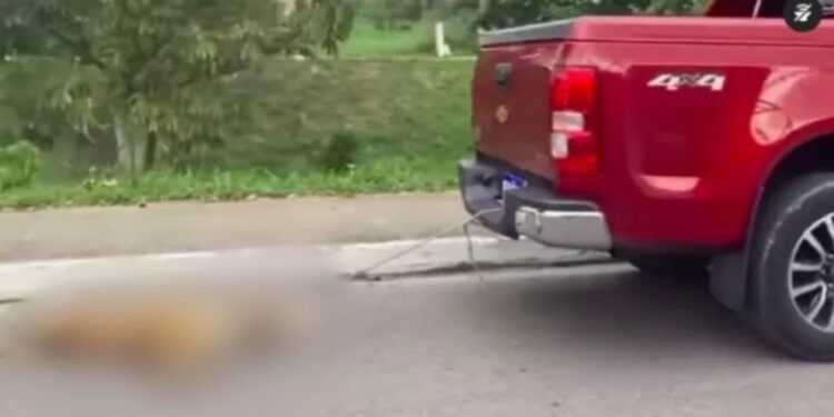 O caso aconteceu na Zona Norte de Manaus e causou revolta. Foto: Reprodução