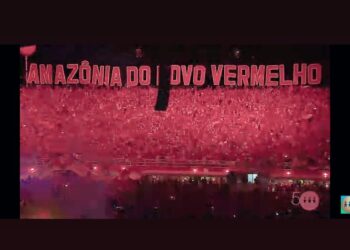 A iluminação escondeu a letra 'P' e nas redes sociais os torcedores do Caprichoso não perdoaram. Foto: Reprodução