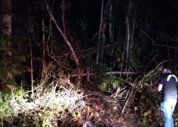 O corpo não possuía identificação. Foto: Divulgação