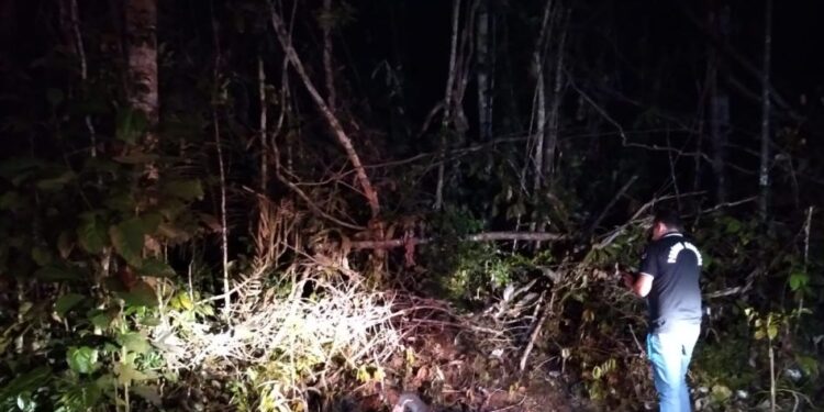 O corpo não possuía identificação. Foto: Divulgação