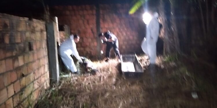 Forte odor chamou a atenção de moradores. Foto: Reprodução