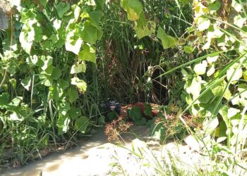 O homem estava sem identificação. Foto: Reprodução