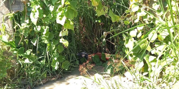 O homem estava sem identificação. Foto: Reprodução