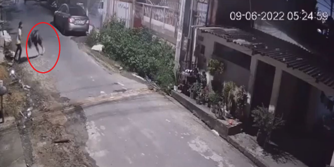 O crime aconteceu na manhã desta quinta-feira (9). Foto: Reprodução