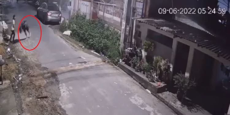 O crime aconteceu na manhã desta quinta-feira (9). Foto: Reprodução