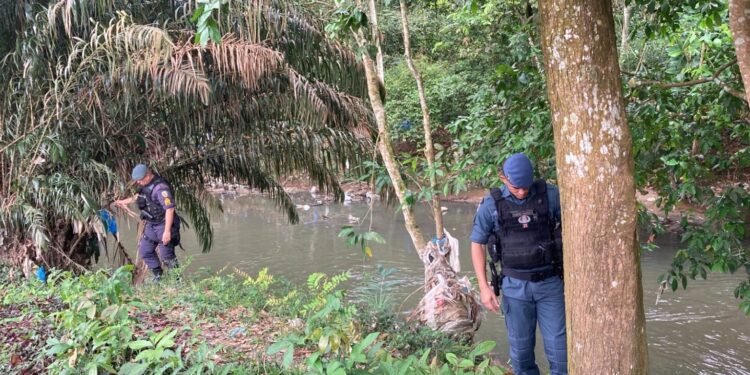 O corpo foi encontrado por pessoas que passavam pela área. Foto: Reprodução