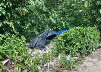 O corpo estava na beira da avenida do Futuro. Foto: Reprodução