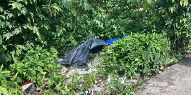 O corpo estava na beira da avenida do Futuro. Foto: Reprodução