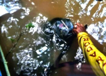 A mochila estava em área de igapó e amarrada em árvore. Foto: Divulgação