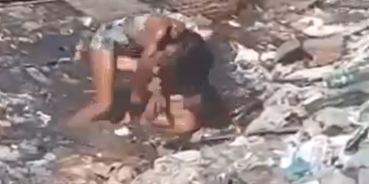 Uma queria afogar a outra na água poluída e fedida. Foto: Reprodução