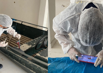 O material coletado foi enviado para Manaus. Foto: Divulgação