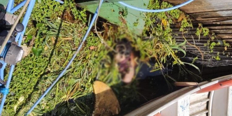 O homem não identificado foi encontrado nesta quinta-feira (14). Foto: Reprodução