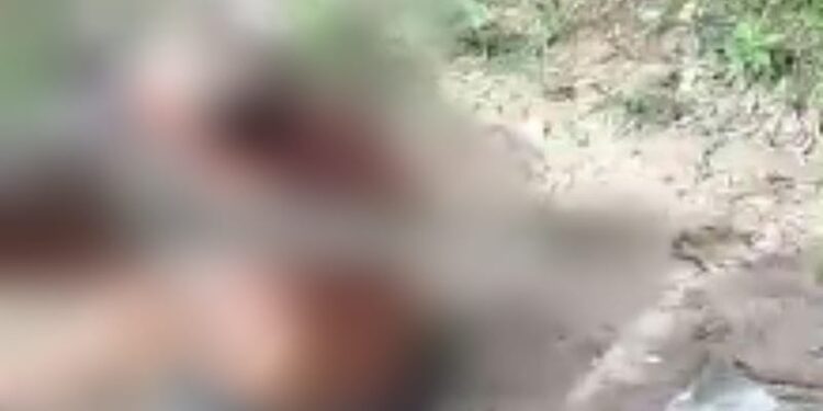 O idoso levou vários socos, chutes e pauladas. Foto: Reprodução