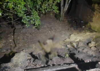 O homem foi espancado e morto com a própria arma. Foto: Reprodução