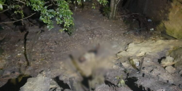 O homem foi espancado e morto com a própria arma. Foto: Reprodução