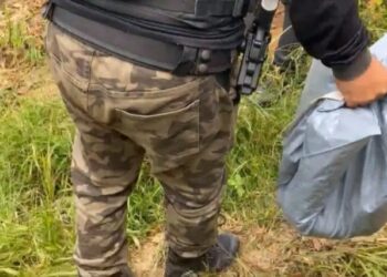 Reprodução: LCJ Notícias