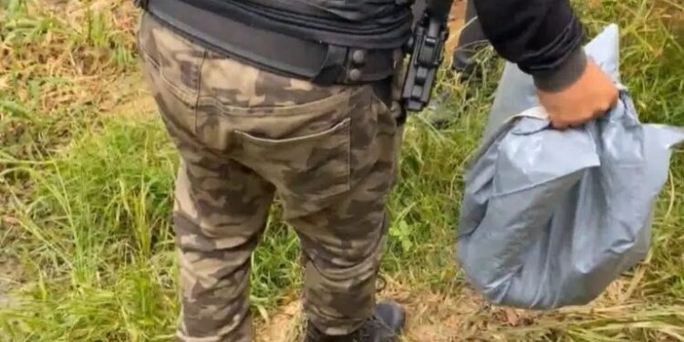 Reprodução: LCJ Notícias