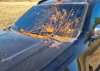 O juiz conseguiu parar e pedir ajuda. Ele perdeu a visibilidade enquanto dirigia. Foto: Reprodução