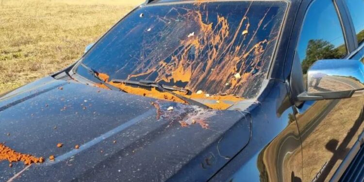 O juiz conseguiu parar e pedir ajuda. Ele perdeu a visibilidade enquanto dirigia. Foto: Reprodução