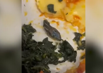 A comissária de bordo ficou assustada com o que aconteceu. Foto: Reprodução