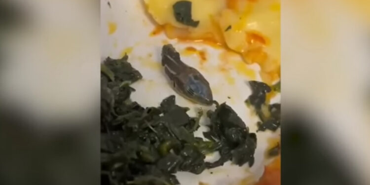 A comissária de bordo ficou assustada com o que aconteceu. Foto: Reprodução