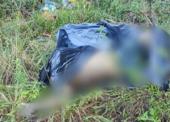 O corpo foi encontrado na manhã desta terça-feira (26). Foto: Reprodução