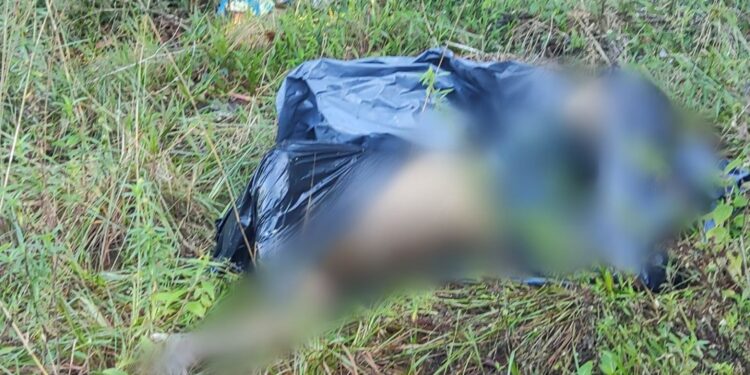 O corpo foi encontrado na manhã desta terça-feira (26). Foto: Reprodução