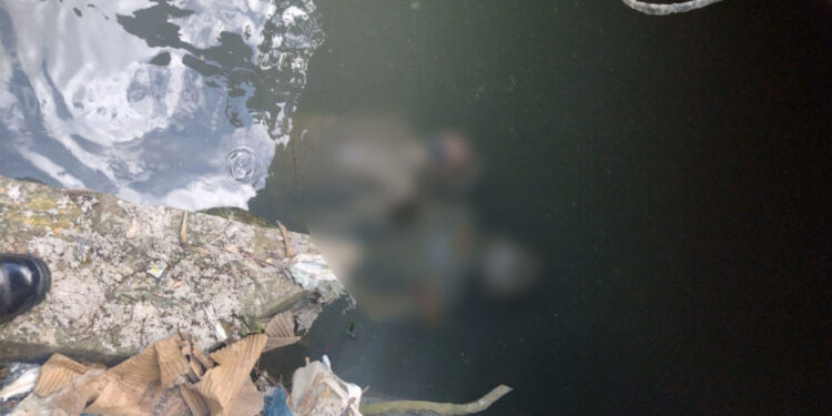 Os corpos estavam amarrados e foram encontrados nesta tarde. Foto: Reprodução