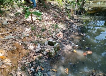 Trabalhadores da Prefeitura estavam realizando limpeza no igarapé e encontraram corpo. Foto: Reprodução