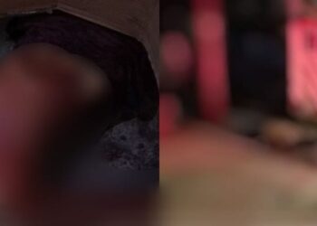 Os homens foram executados no Japiim e Presidente Vargas. Foto: Reprodução