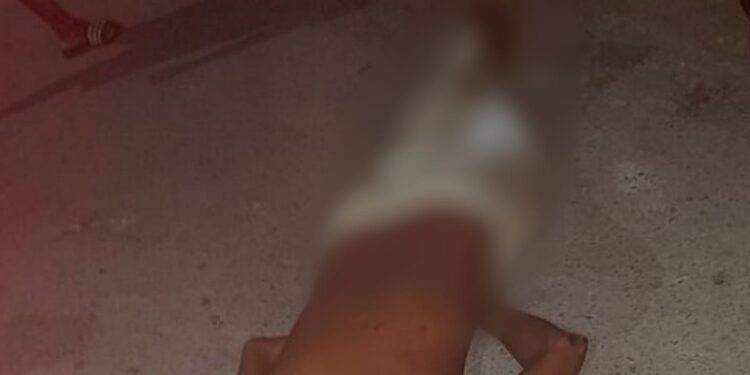 O corpo foi encontrado por moradores na noite de terça-feira (9). Foto: Reprodução